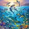 Tierwelt des Ozeans Ravensburger 05149 Produktbild-Vorschau 5