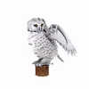 National Geographic 3D Puzzel Schnee-Eule Produktbild-Vorschau 5