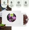 Lila Kohlrabi Samen (Milan Purple, 300 Korn) - Kohlrabi Produktbild-Vorschau 4