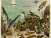 CALVENDO Puzzle Seewasser-Aquarium, Künstler: Adolf Giltsch Produktbild-Vorschau 3