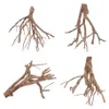 Talawa Wurzel L 35-50 cm Produktbild-Vorschau 1