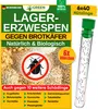 GREEN GUARDIA Lagererzwespen gegen Brotkäfer - 6 Röhrchen à Produktbild-Vorschau 1