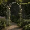 DanDiBo Arco di rose in metallo zincato solido 120 cm Arco Anteprima dell’immagine prodotto 5