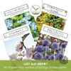 Gänseblümchen Samen (Bellis perennis) - Zarte Blumen mit Produktbild-Vorschau 7