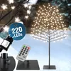 MONZANA® Osvětlený třešňový strom 220 cm, 220 LED, teplá Náhled obrázku produktu 1