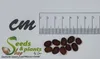 10x Lablab purpureus Helmbohne Bohne Kletterpflanze Samen Produktbild-Vorschau 2