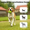 Wiltec Hondenrampen, 155 x 40 cm, draagvermogen 90 kg, Productafbeelding-voorbeeld 5