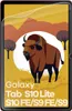 Bizon Film Tab Papirus Samsung Galaxy Tab S9 FE/S9 [2 PACK] Produktbild-Vorschau 3