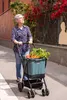 Carlett boodschappenwagen met 4 wielen, inklapbaar, tas met Productafbeelding-voorbeeld 11