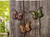 3 papillons en métal, 24x19 cm, décoration murale, Voir les images du produit 1