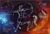 Interdruk Puzzle 250 dílků znamení zvěrokruhu 9 Střelec Náhled obrázku produktu 3