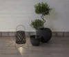 Star Trading Solarlaterne Calabria, Schwarz, LED, Produktbild-Vorschau 6