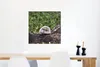 MuchoWow® Poster Igel - Weiß - Baumstamm - Blumen 50x50 cm Produktbild-Vorschau 5