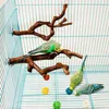 2 Stück Natur Sitzstangen Set für Vögel, Wildes Traubenholz Produktbild-Vorschau 5