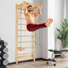 A man is performing a leg raise exercise on a wooden wall-mounted gym apparatus in a room with gym equipment and a plant. Podgląd zdjęcia produktu