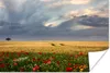 MuchoWow® Poster Blumenwiese - Weizen - Mohnblumen 180x120 Produktbild-Vorschau 1