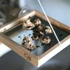 Fenster Futtertisch 'Bird Swing Vide' | perfekt um Vögel zu Produktbild-Vorschau 1