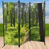 A folding screen with a forest scene printed on it, set up on a wooden floor with a grassy field and sky in the background. Produktbild-Vorschau