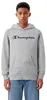 Hoodie Champion 307352EM021 voor Kinderen Productafbeelding-voorbeeld 6