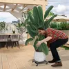 XINZI 2 Stück Pflanzenroller Pflanzenrolle Metall, 30 cm Produktbild-Vorschau 12