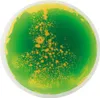 EDUPLAY 110374 Tapis de fascination, rond, Ø 40 cm, coloré, Voir les images du produit 2