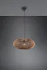 Trio Hedda lampada a sospensione E27 ⌀52cm Nero Opaco Anteprima dell’immagine prodotto 13