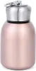 2er Set Mini Thermoskanne Edelstahl 300 ml Isolierflasche Produktbild-Vorschau 2