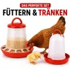 Futterautomat + Tränke Set Futterspender Trinknapf Produktbild-Vorschau 1