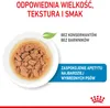 ROYAL CANIN SHN Mini Puppy in Sauce - Nassfutter für Welpen Podgląd zdjęcia produktu 6