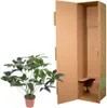 Baumfreund - Philodendron Green Wonder - pokojová rostlina Náhled obrázku produktu 3