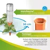 BioGreen Tonkegel Hydro Wine, 5.08 x 5.08 x 17.53 cm, Ton, Produktbild-Vorschau 14