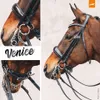 Schockemöhle Sports Kandare Venice Black / Silver WB Produktbild-Vorschau 5
