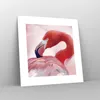 Poster - Poster ohne Rahmen - Flamingo Vogel Porträt - Produktbild-Vorschau 7