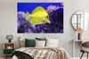 MuchoWow® Poster Fisch - Koralle - Gelb 180x120 cm - Produktbild-Vorschau 5