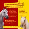 Scheidler horse-direkt Mönchspfeffer Liquid für Pferde Produktbild-Vorschau 2