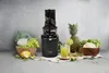 Kuvings Slow Juicer Cold Press silver REVO-830-SL REVO830SL Produktbild-Vorschau 29