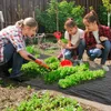 Outsunny Unkrautvlies – Unkrautvlies – 130 g/m² – Reißfest, Produktbild-Vorschau 2