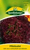 Pflücksalat, Lollo rossa Produktbild-Vorschau 2