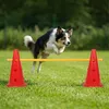 Relaxdays Sada prekážok, 18-dielna, pre agility pre psov a Náhľad obrázku produktu 2