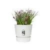 Elho Pflanztopf Greenville Ø 25 x 23 cm weiß Produktbild-Vorschau 2
