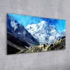 Coloray Acrylbild 100x50  Wandbild Acrylbilder Deko Malerei Produktbild-Vorschau 2
