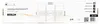 Libox LB-120, 81,3 cm (32"), 2,16 m (85"), 200 x 200 mm, Produktbild-Vorschau 9