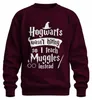 Hogwarts wasn't hiring so I teach Muggles instead Harry Produktbild-Vorschau 1