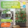 BioGreen Hochbeet "City Jungle" mit Rankgitter L 62 x B 33 Produktbild-Vorschau 2