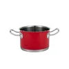 A red pot with silver handles and rim, isolated on a white background. Anteprima dell’immagine prodotto