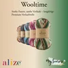 5 x ALIZE WOOLTIME 161 Powder mit Label Produktbild-Vorschau 3