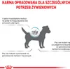 Royal Canin Veterinary VHN Dog Hypoallergenic Small 3,5kg Podgląd zdjęcia produktu 12