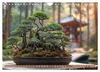Bonsai meditativ (Wandkalender 2027 DIN A4 quer), CALVENDO Produktbild-Vorschau 13