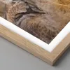 Gerahmtes Poster - Rahmen in heller Eiche - Löwe Natur Tier Produktbild-Vorschau 2