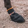A close-up of a dog's paw wearing a black protective bootie with an orange trim, resting on a gravelly surface. Produktbild-Vorschau